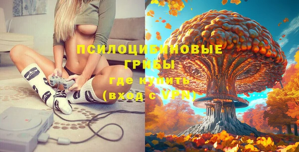 mdpv Беломорск