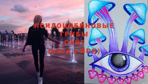 сатива Белокуриха
