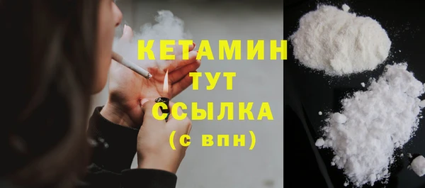 молекула духа Снежногорск