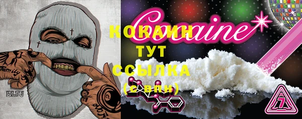 сатива Белокуриха