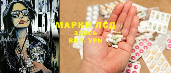 сатива Белокуриха