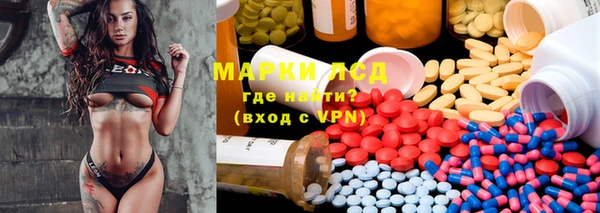 сатива Белокуриха