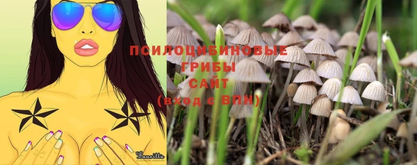 mdpv Беломорск