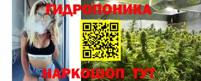 СК Кингисепп