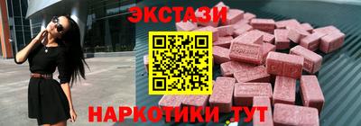 СК Кингисепп