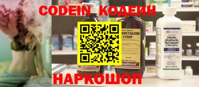 СК Кингисепп