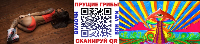 Галлюциногенные грибы Psilocybe  Кунгур 
