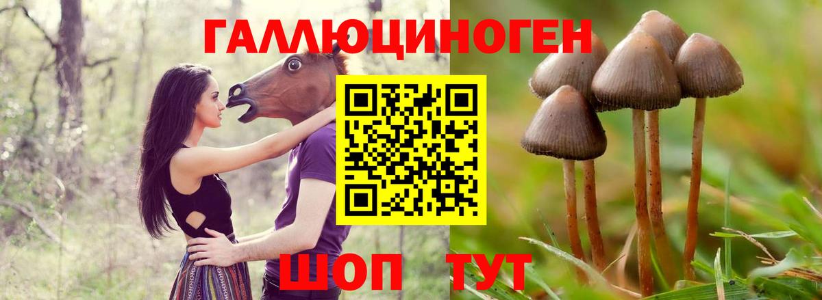 Галлюциногенные грибы Magic Shrooms Кунгур
