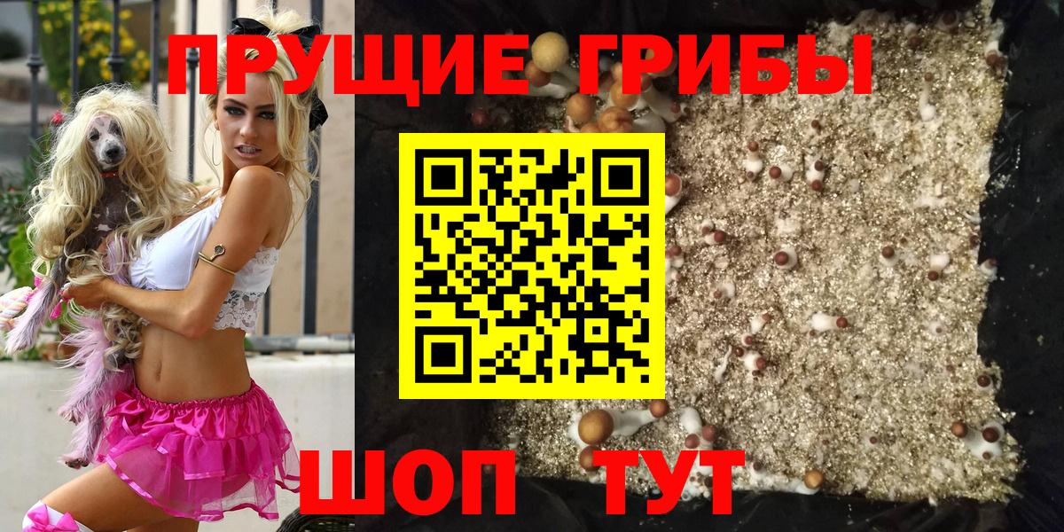 Кунгур  Галлюциногенные грибы мицелий  наркота  Вход с VPN  Псилоцибиновые грибы MAGIC MUSHROOMS 